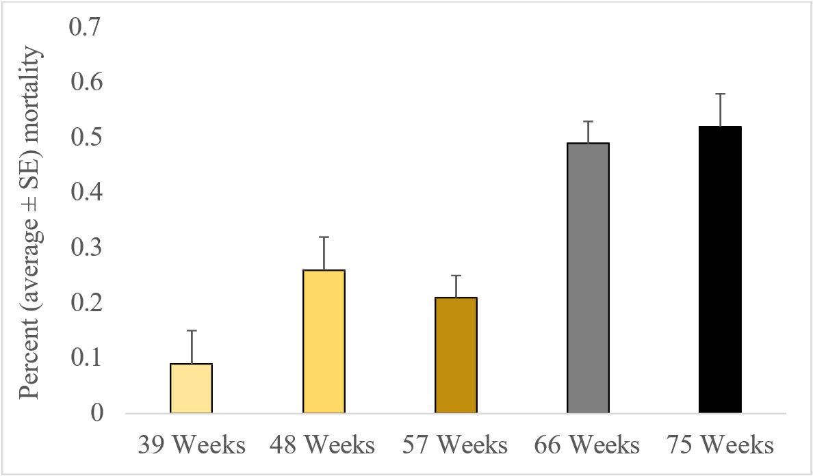Bar chart showing average percent mortality (± standard error) at 39, 48, 57, 66, and 75 weeks of age. Mortality increases with age: approximately 9% at 39 weeks, 26% at 48 weeks, 21% at 57 weeks, 49% at 66 weeks, and 52% at 75 weeks.